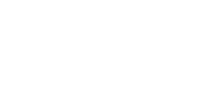 Boslan 标识
