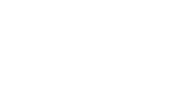 Databricks 徽标