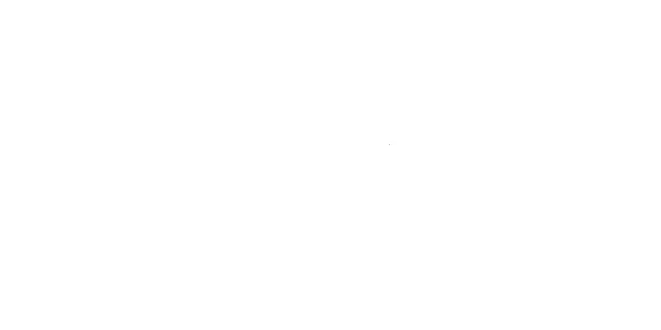 Paloalto 徽标